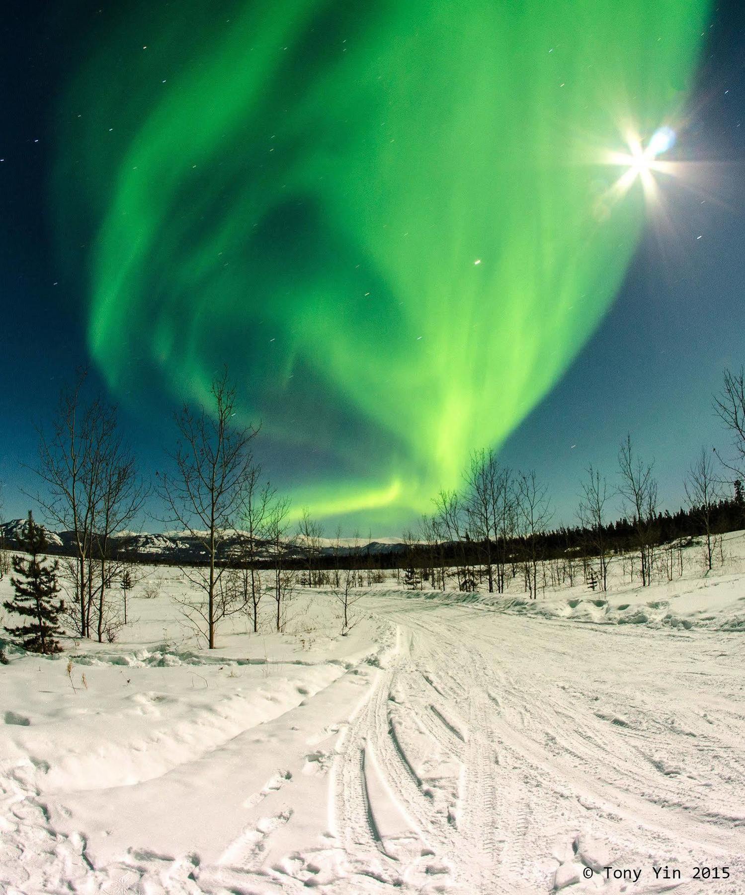 Sundog Retreat Hotel Whitehorse Exterior foto